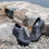 Eazee Cinder laceup smart shoes with easy side zipper and Q-Chip™ technology on Q-sport walker 2 outsole. EAZ-5051-S2